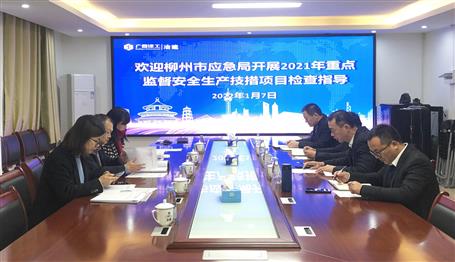 柳州市應(yīng)急管理局到公司檢查指導工作
